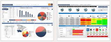 Ejemplos de Informes Din�micos (Dashboards)